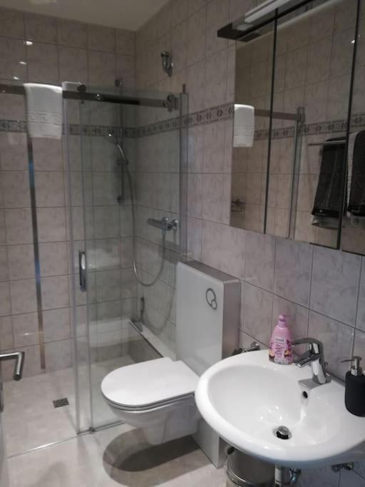 האטינגן Appartment, Gemuetlich U. Zentral מראה חיצוני תמונה